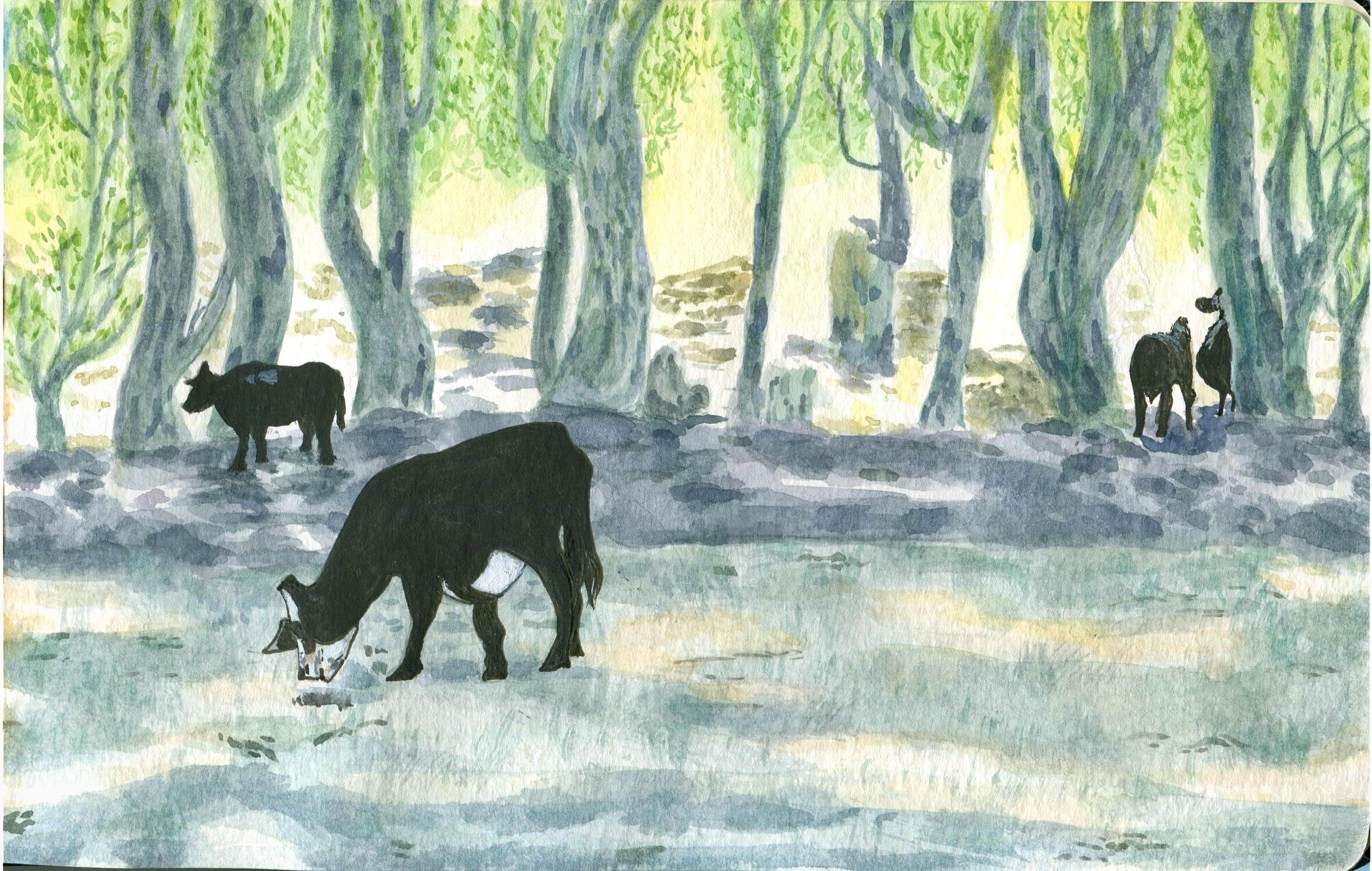 A warm afternoon * Watercolor, ink; 5&quot;x 8&quot; on paper