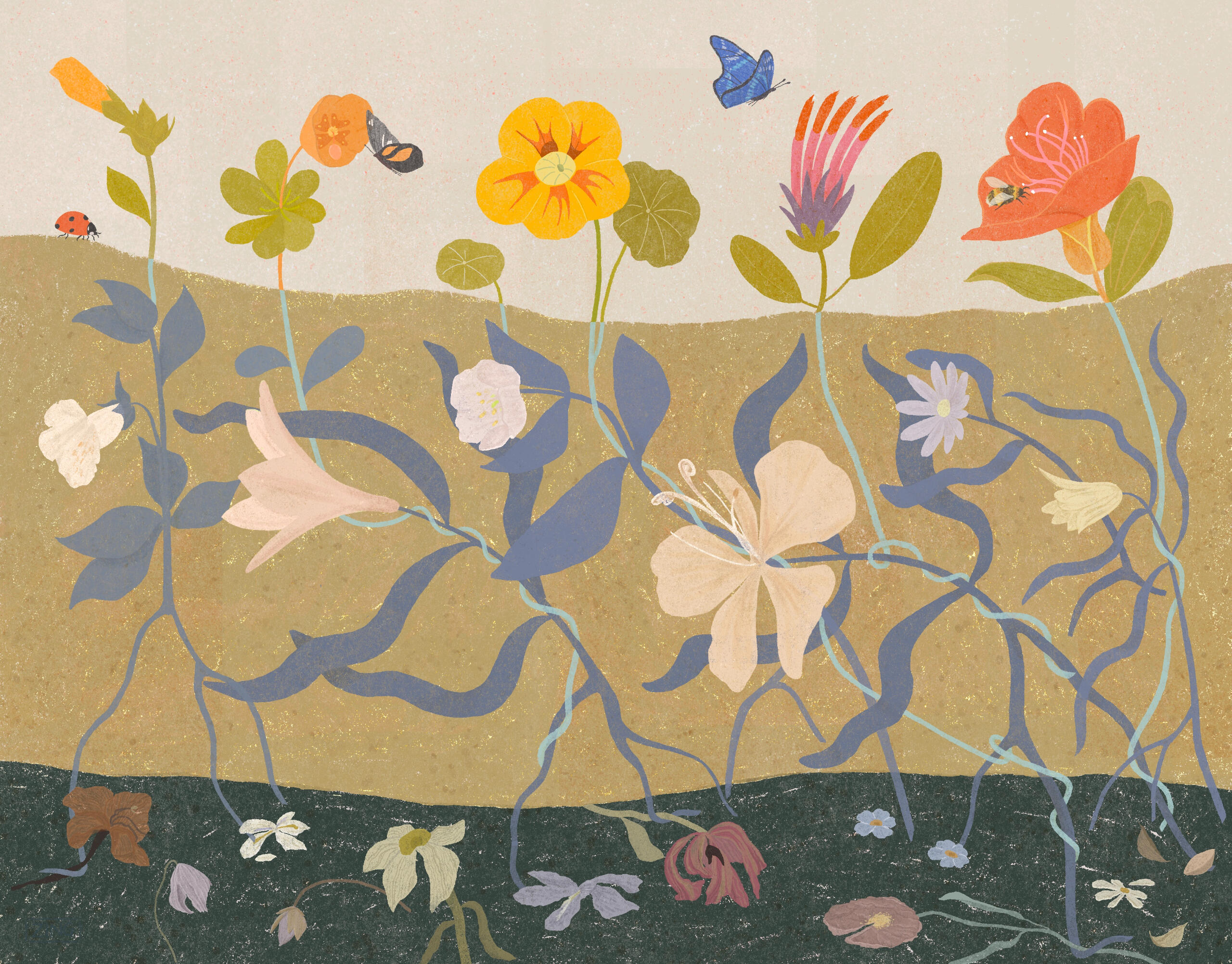 Series - Flowers