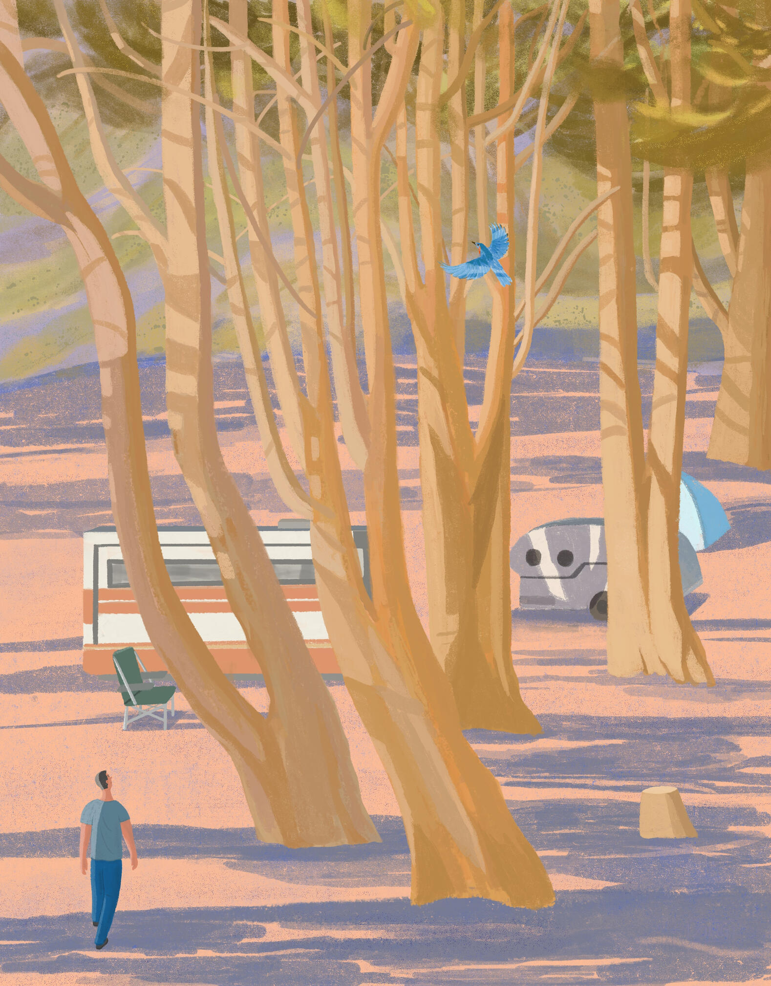 Camping - Day