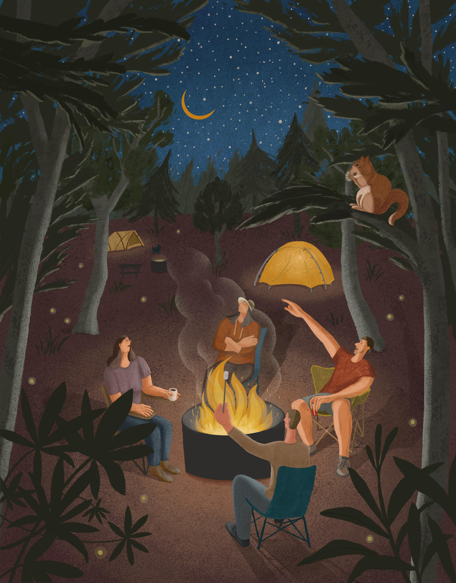 Camping - Night